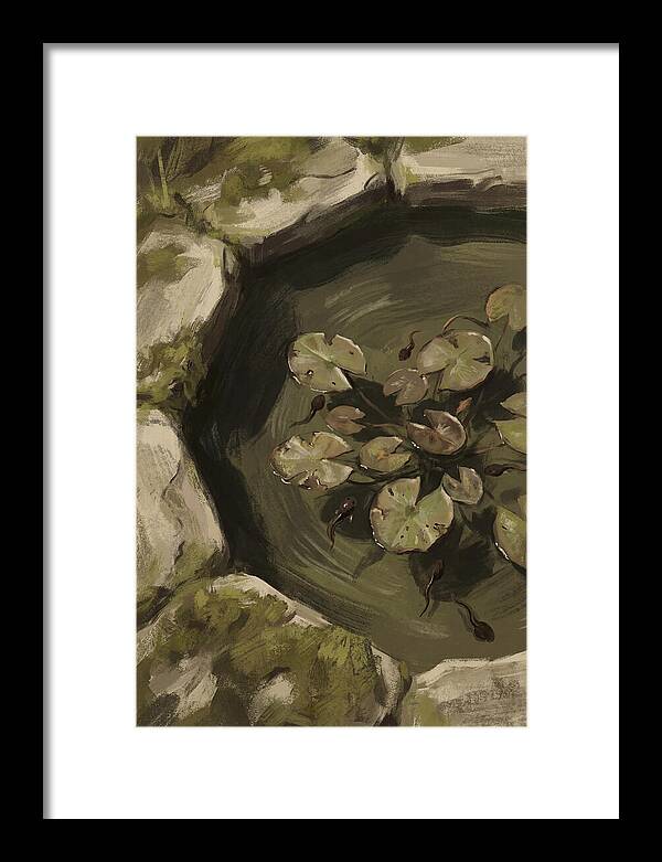 Spring Pond With Tadpoles