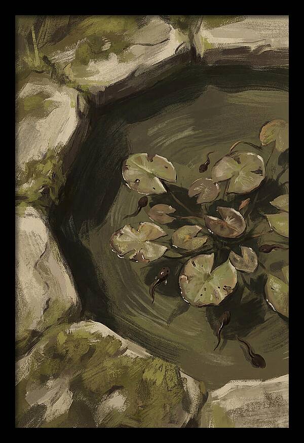 Spring Pond With Tadpoles