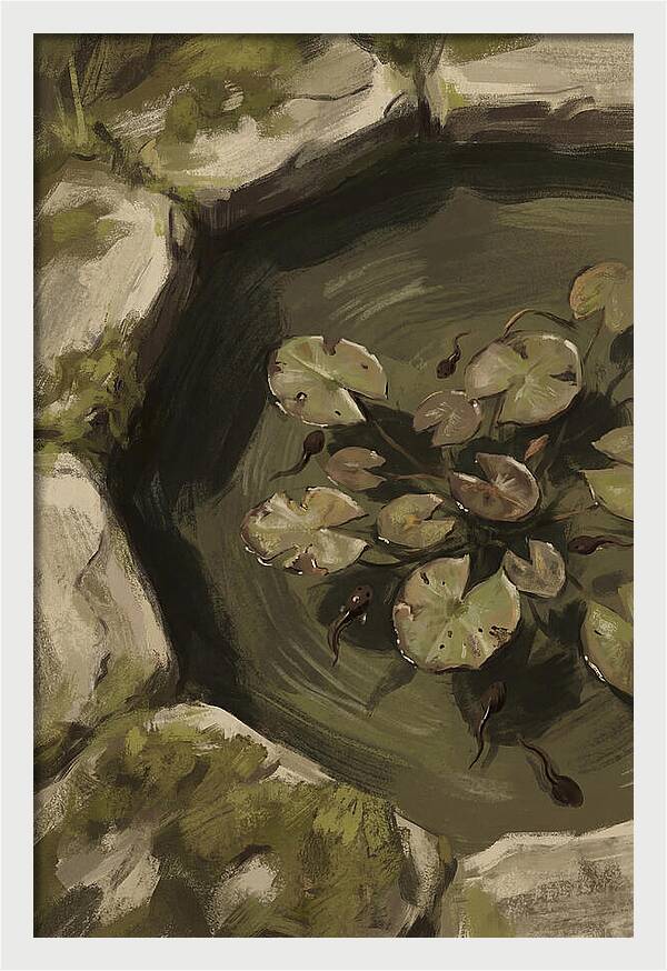 Spring Pond With Tadpoles