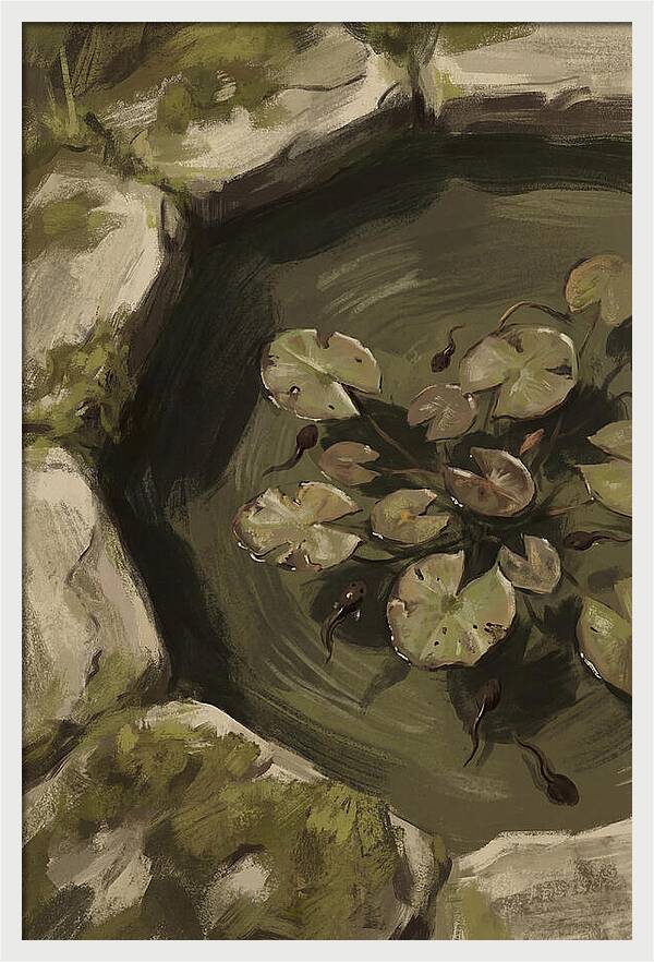 Spring Pond With Tadpoles