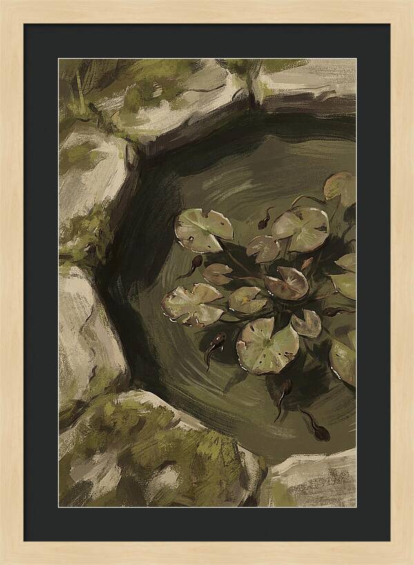 Spring Pond With Tadpoles