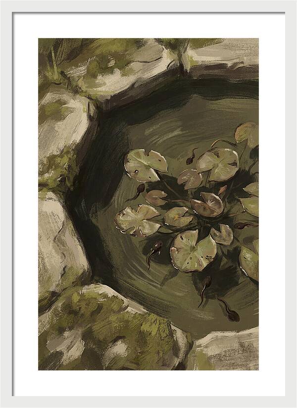 Spring Pond With Tadpoles