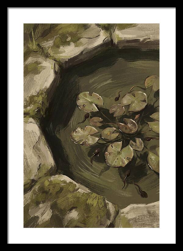 Spring Pond With Tadpoles