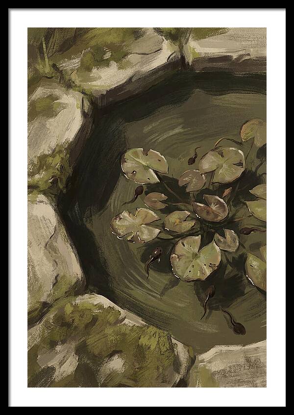 Spring Pond With Tadpoles