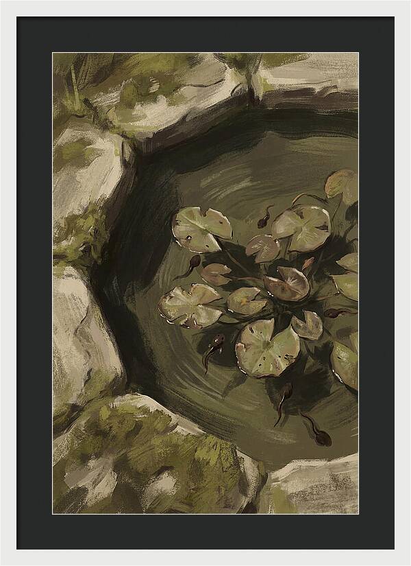 Spring Pond With Tadpoles