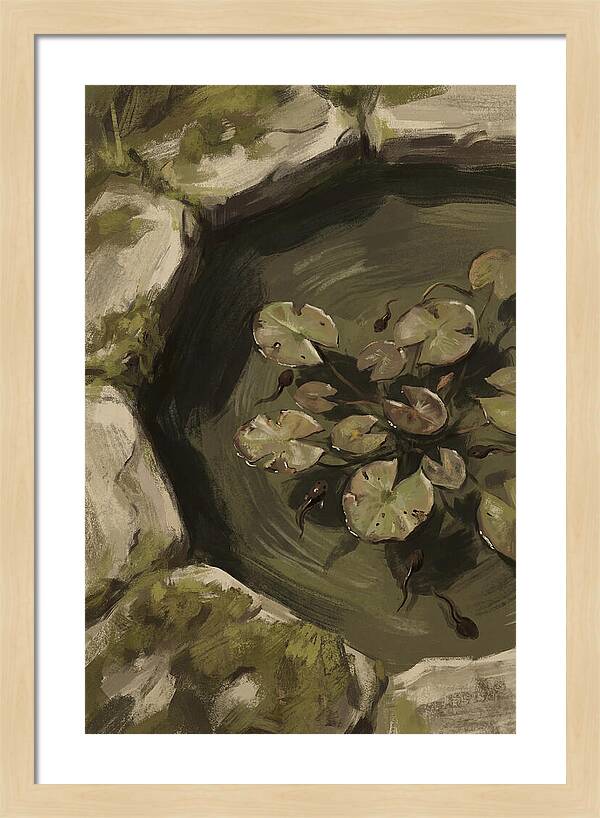 Spring Pond With Tadpoles