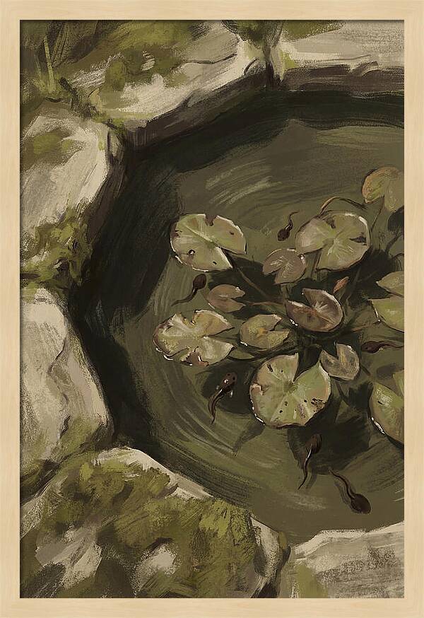 Spring Pond With Tadpoles
