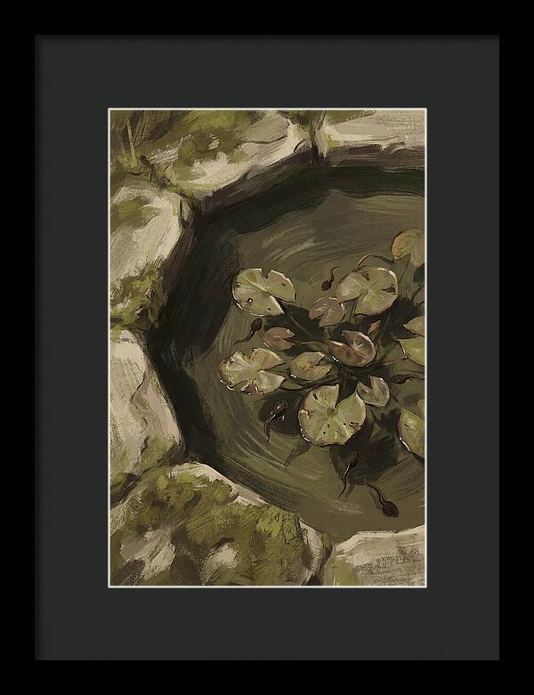 Spring Pond With Tadpoles