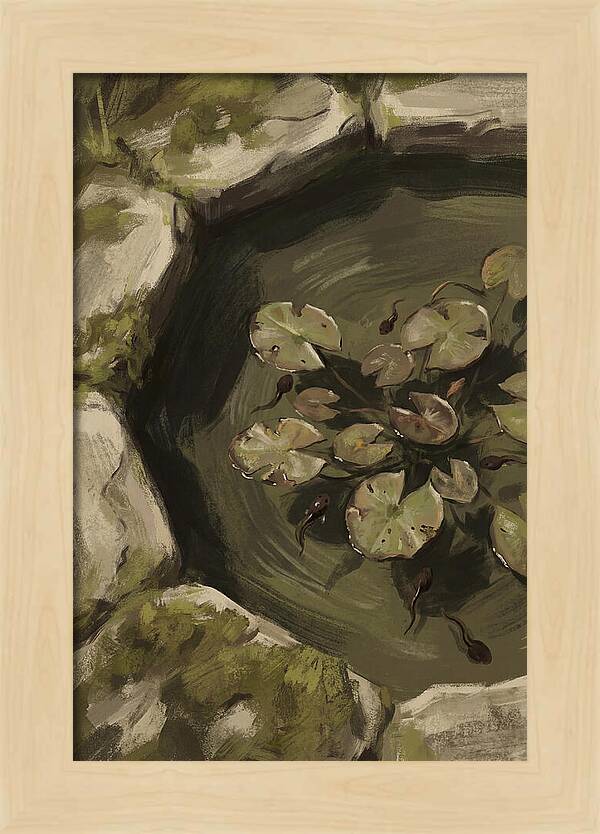 Spring Pond With Tadpoles