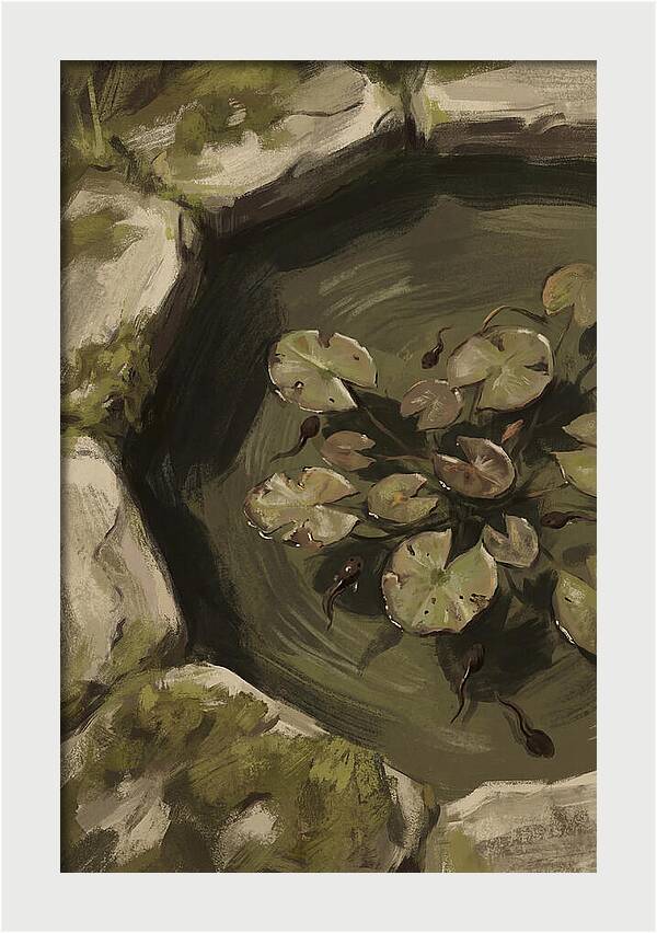 Spring Pond With Tadpoles