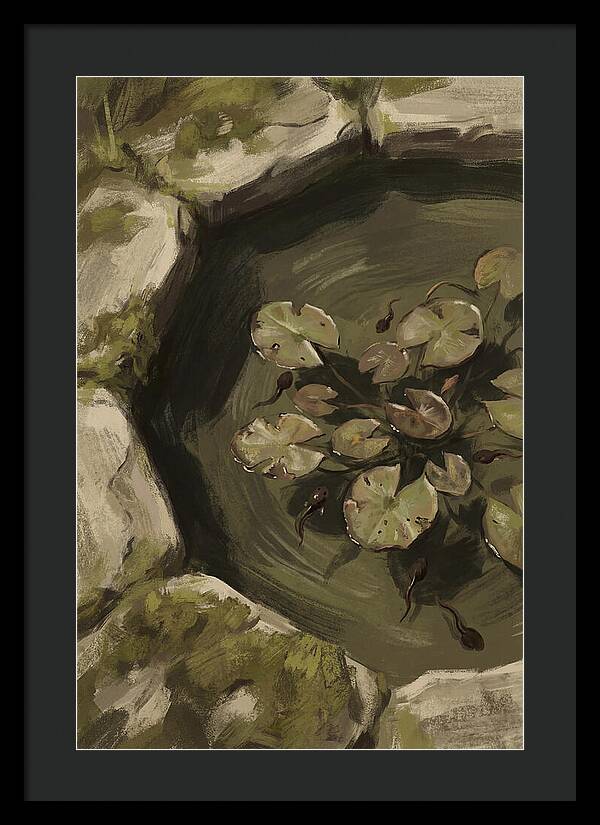 Spring Pond With Tadpoles