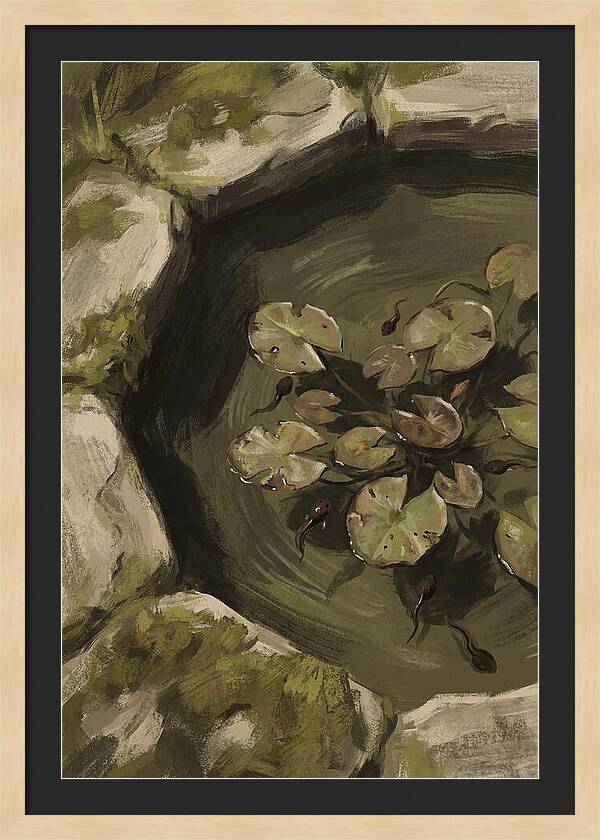 Spring Pond With Tadpoles