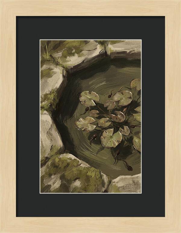 Spring Pond With Tadpoles