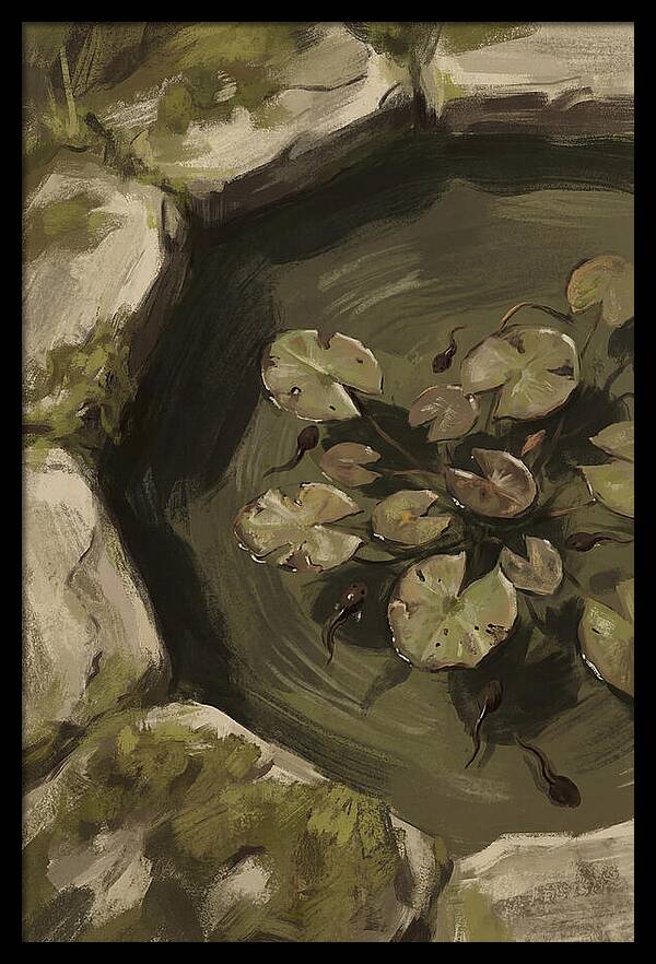 Spring Pond With Tadpoles