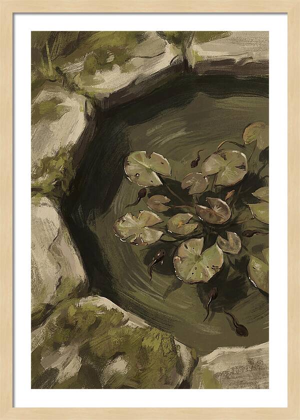 Spring Pond With Tadpoles