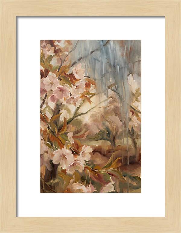 Spring Rain On Blooming Cherry Tree