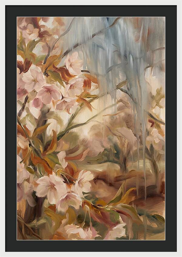 Spring Rain On Blooming Cherry Tree