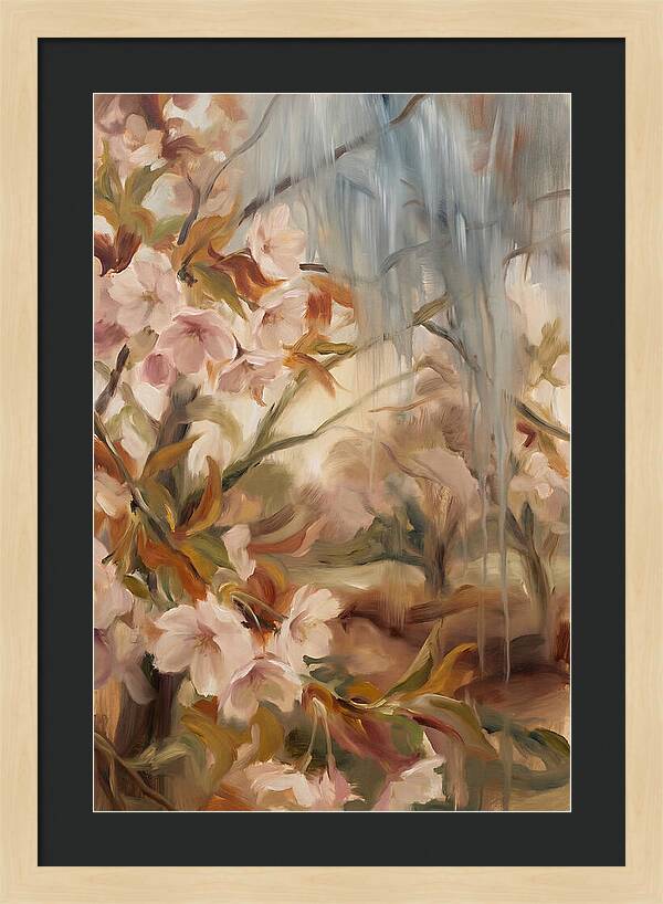 Spring Rain On Blooming Cherry Tree