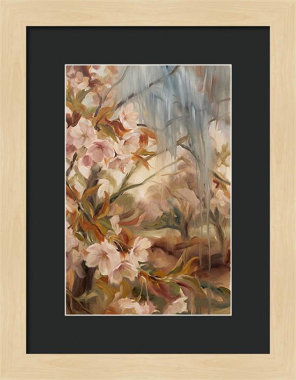 Spring Rain On Blooming Cherry Tree