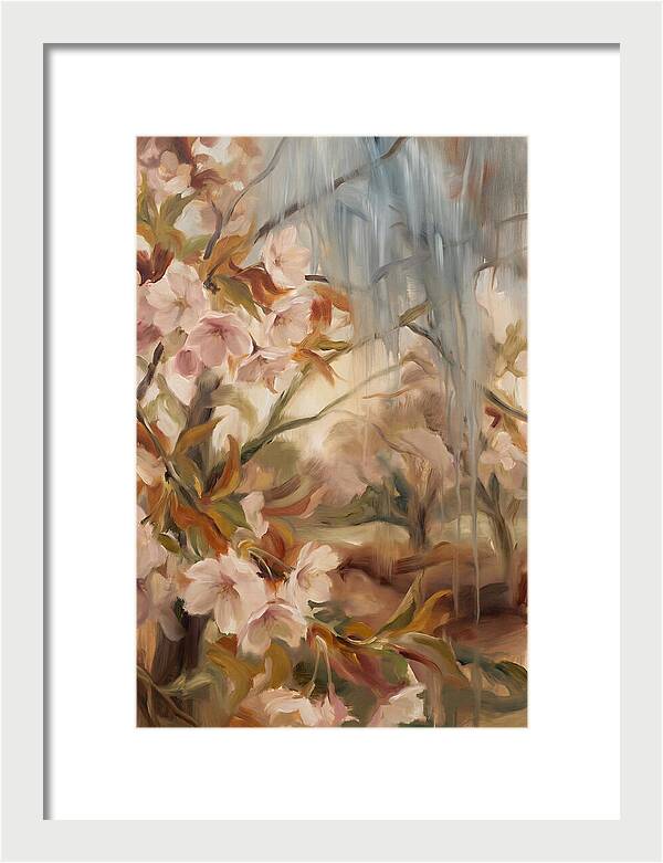 Spring Rain On Blooming Cherry Tree