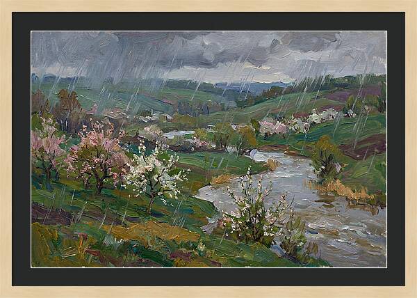 Spring Rain Over Blossoming Fields