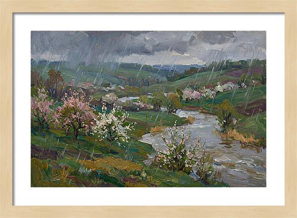 Spring Rain Over Blossoming Fields