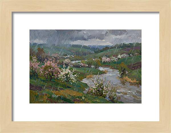 Spring Rain Over Blossoming Fields