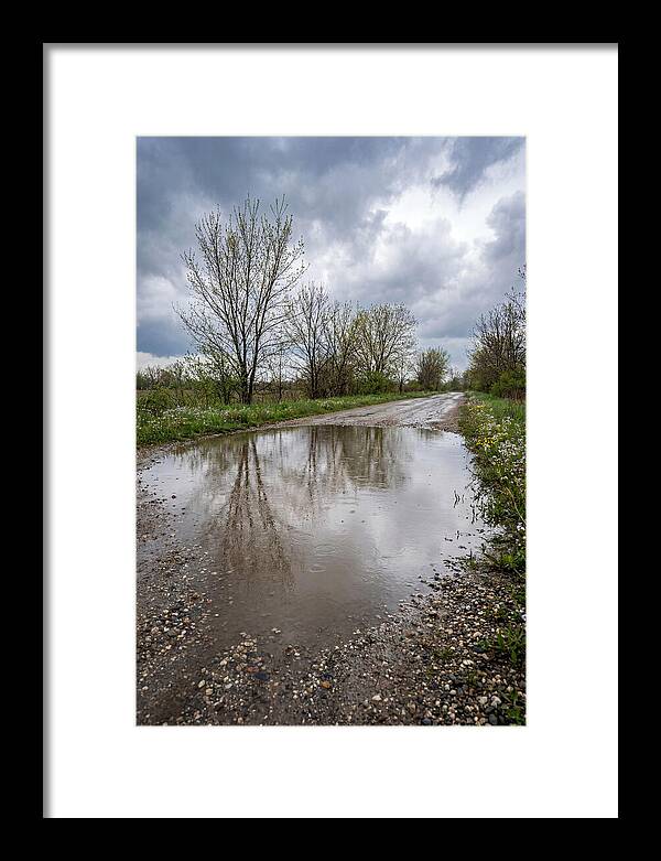Spring Rain Reflections