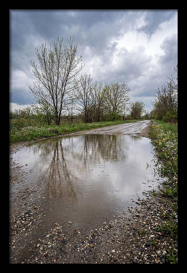 Spring Rain Reflections