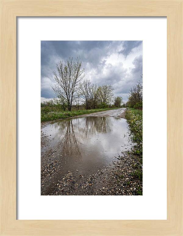 Spring Rain Reflections