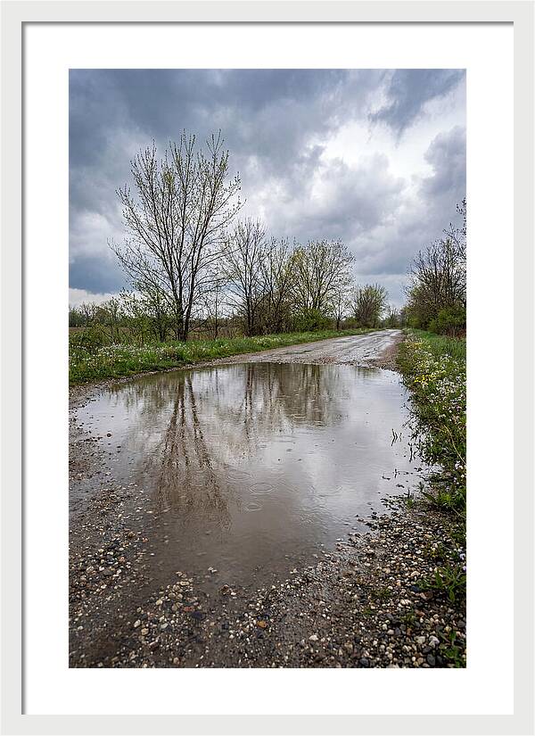 Spring Rain Reflections
