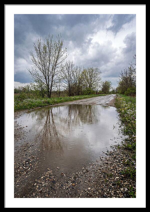 Spring Rain Reflections