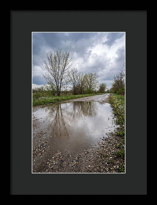 Spring Rain Reflections