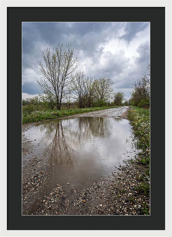 Spring Rain Reflections