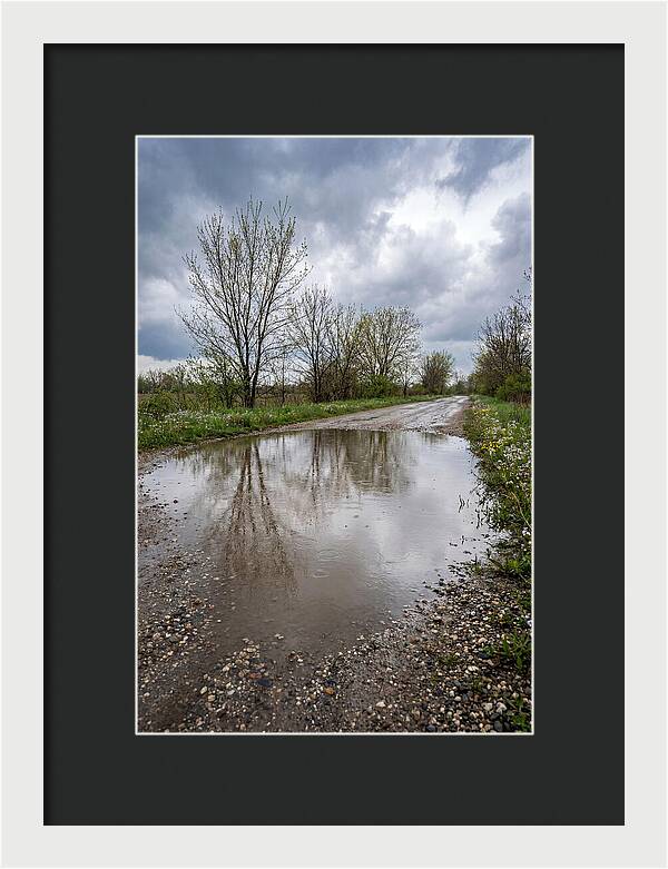 Spring Rain Reflections