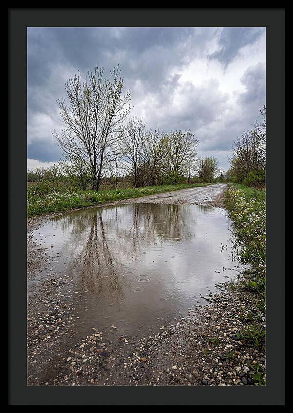 Spring Rain Reflections