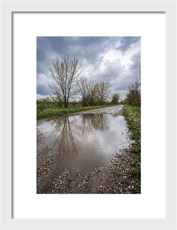 Spring Rain Reflections