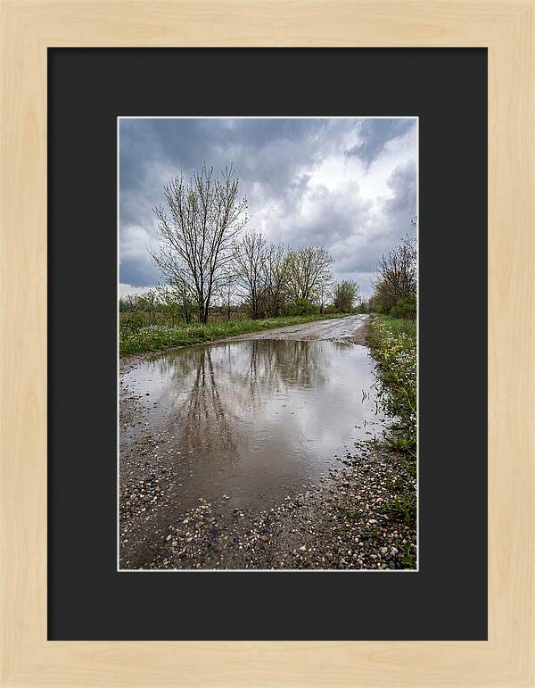 Spring Rain Reflections