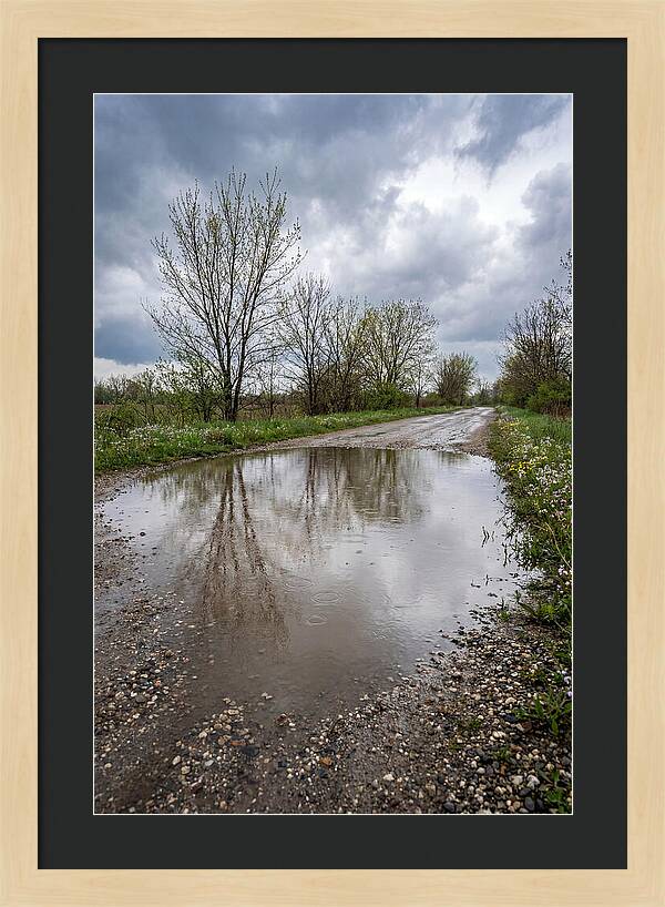 Spring Rain Reflections