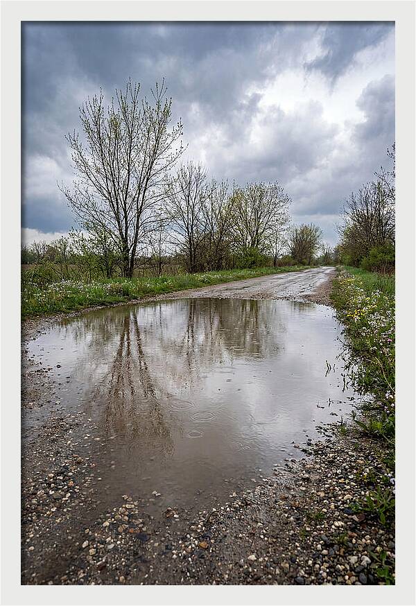 Spring Rain Reflections