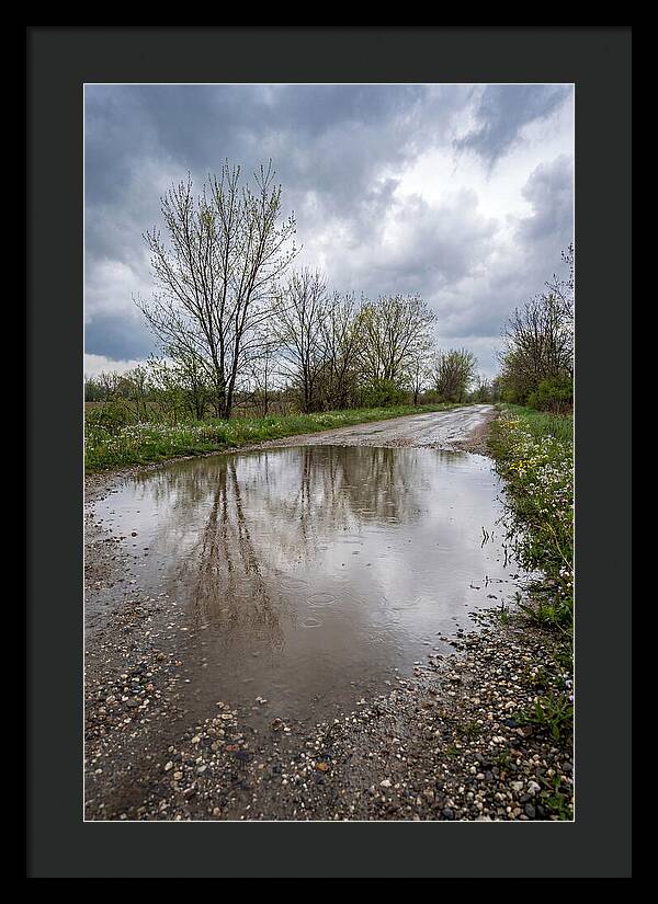 Spring Rain Reflections