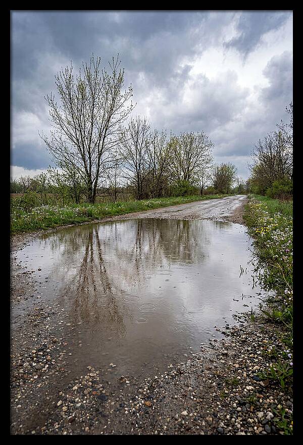 Spring Rain Reflections