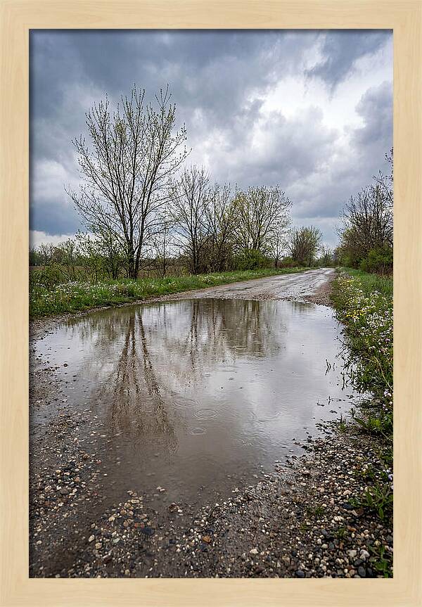 Spring Rain Reflections