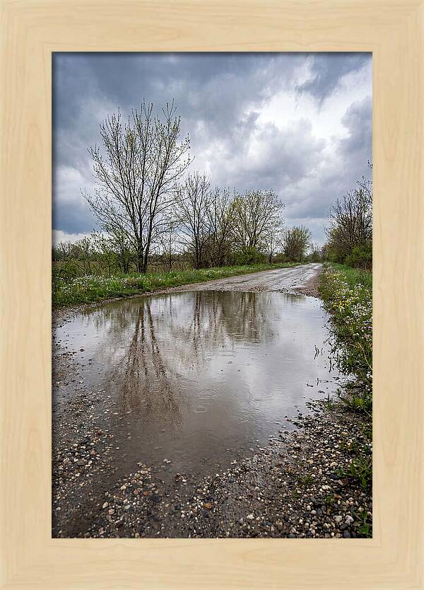 Spring Rain Reflections