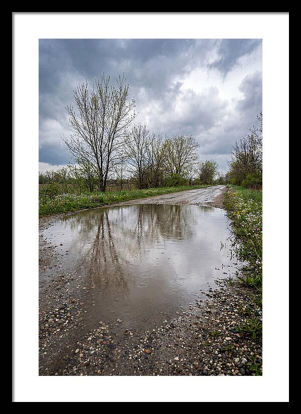 Spring Rain Reflections