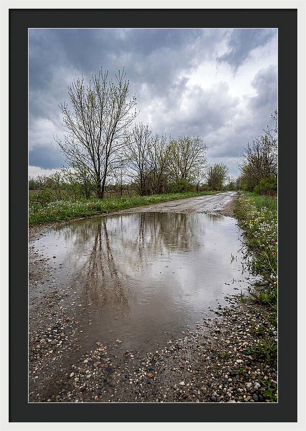 Spring Rain Reflections