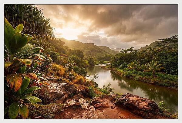 Spring Rain Refreshing Earth