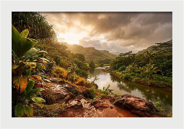 Spring Rain Refreshing Earth