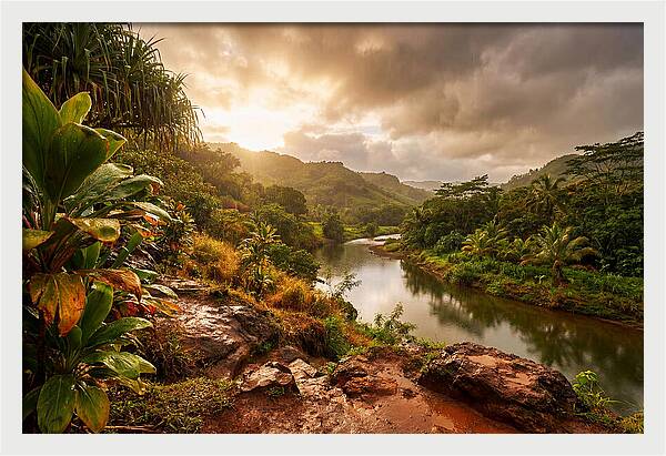 Spring Rain Refreshing Earth