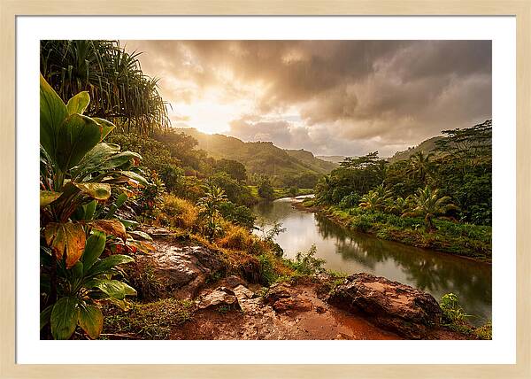 Spring Rain Refreshing Earth